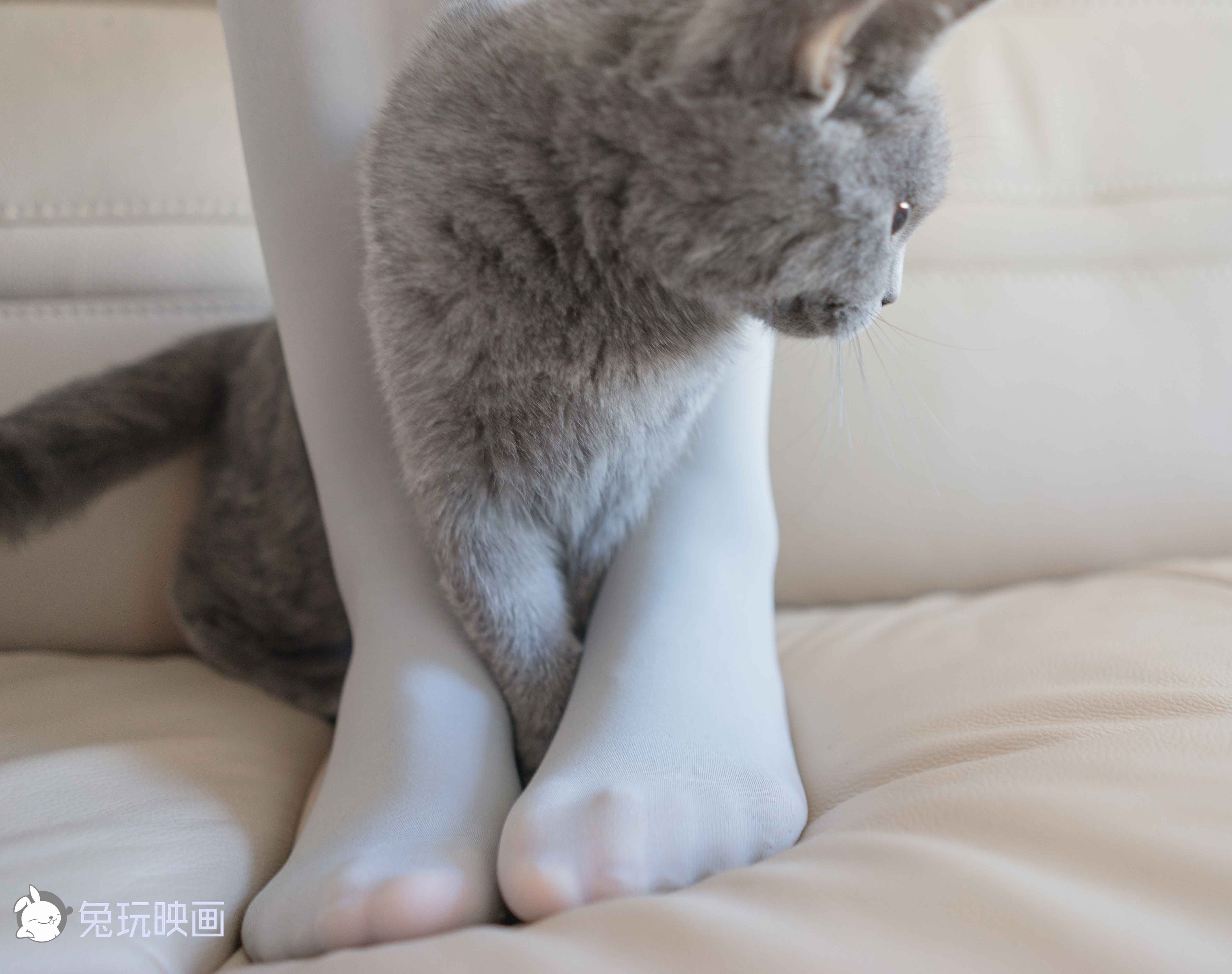 [兔玩映画]B93.003猫与少女插图8